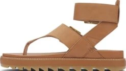 Sorel Roaming T-Strap Sandals - Women's|-|Sandales à Bride En T De Roaming - Femme -Sorel Sales Store SRL 1897041 7E 7ESide 20Camel 20Brown